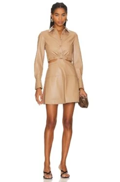 Elias Mini Shirt Dress Thorn