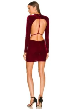 X REVOLVE Zola Mini Dress Burgundy
