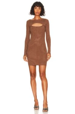 Donna Mini Dress Brown